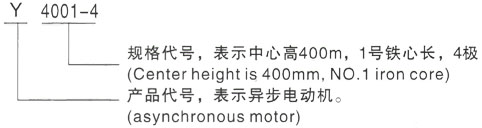 西安泰富西玛Y系列(H355-1000)高压Y4505-6/450KW三相异步电机型号说明